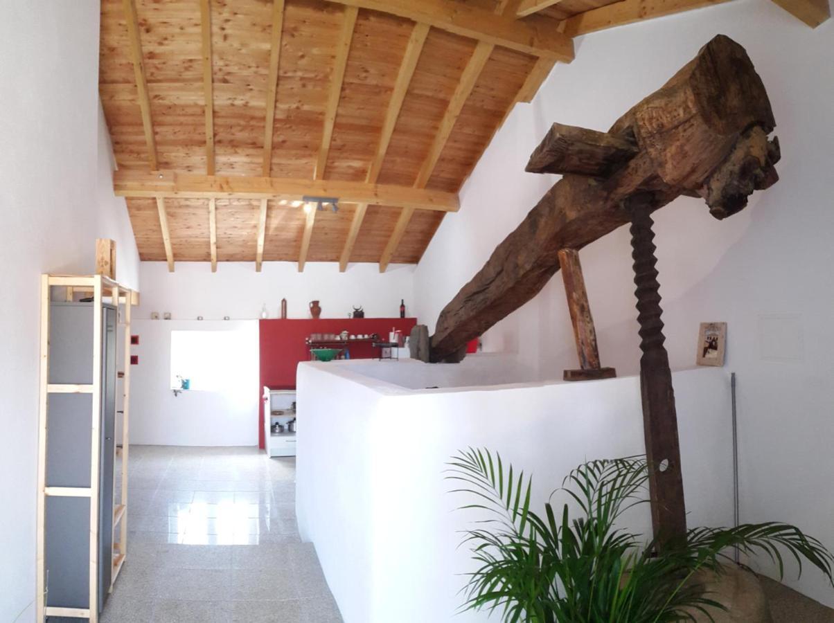 Quinta Quatro Ventos Bed & Breakfast เซอร์เทิน ภายนอก รูปภาพ